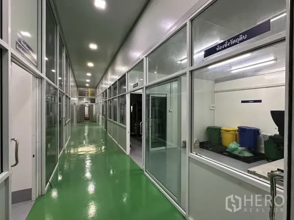 Factory for rent in Khlong Luang, Pathum Thani - Clean production corridor with glass-partitioned rooms, bright LED lighting and green epoxy floor.