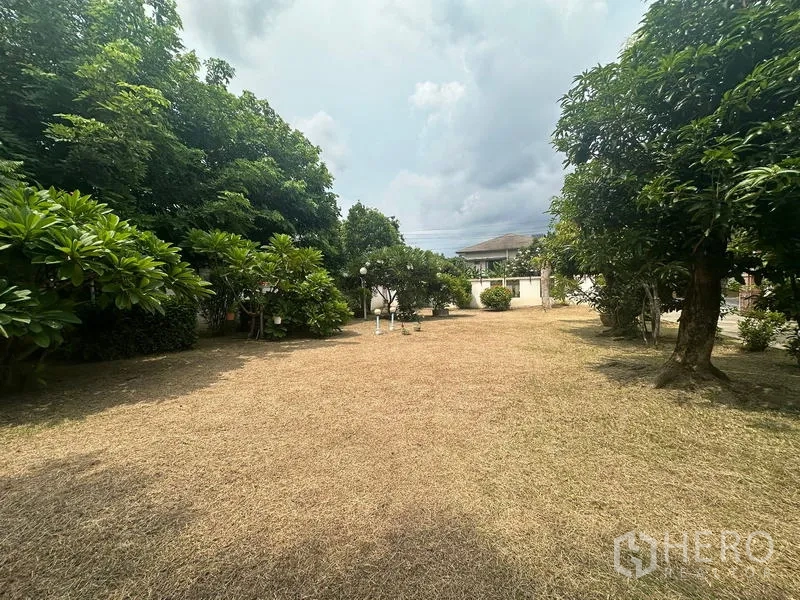 Detached House for sale in Phra Khanong, Bangkok - Expansive lawn garden with shade trees and a boundary wall in a quiet neighborhood.
