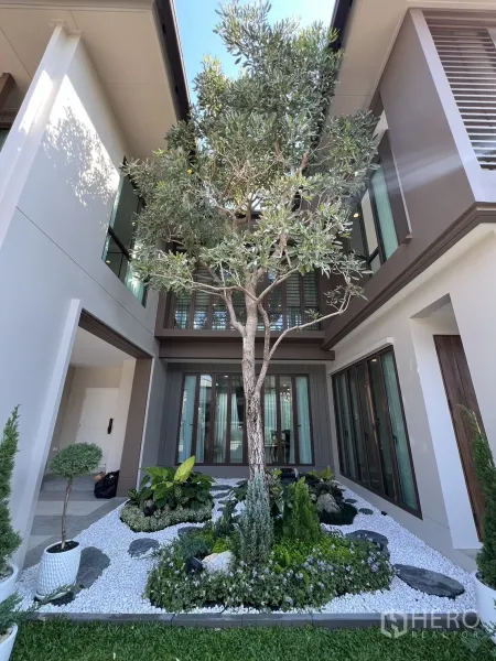 独立式住宅 出租或出售在Bang Kapi, Bangkok - 庭院内有成树、卵石花园与四周落地窗。