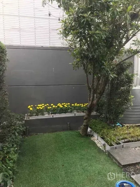 Townhouse for rent - Private townhouse garden with trimmed lawn, mature tree, and flower beds with yellow blooms.