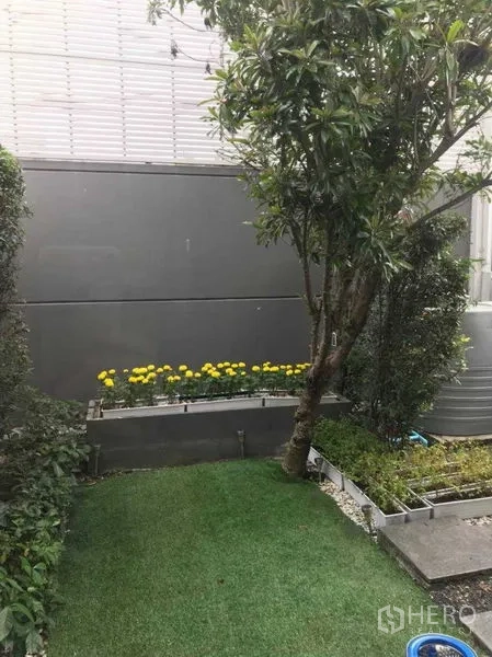 Townhouse for rent - Private townhouse garden with trimmed lawn, mature tree, and flower beds with yellow blooms.