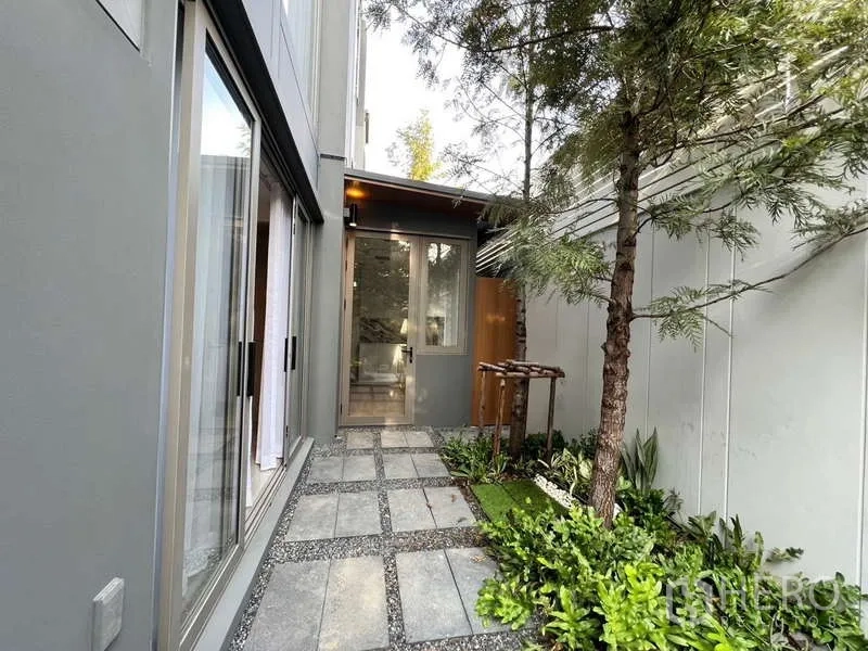 Townhouse for rent in Phra Khanong, Bangkok - Shaded side courtyard with stone pathway, plants and sliding glass doors.
