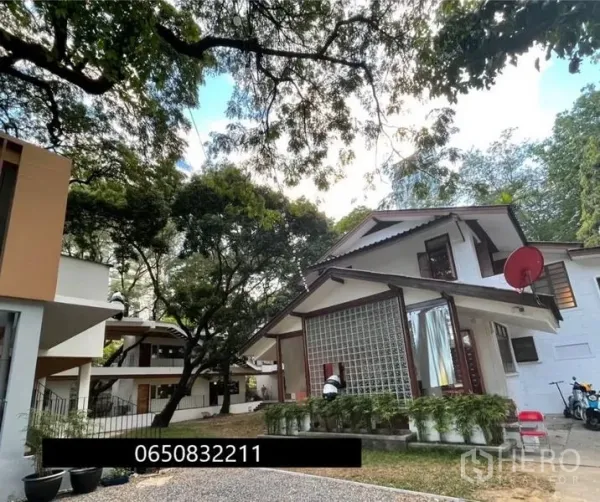 Retail Space for rent in Pathum Wan, Bangkok - Garden compound of low-rise retail houses shaded by mature trees.