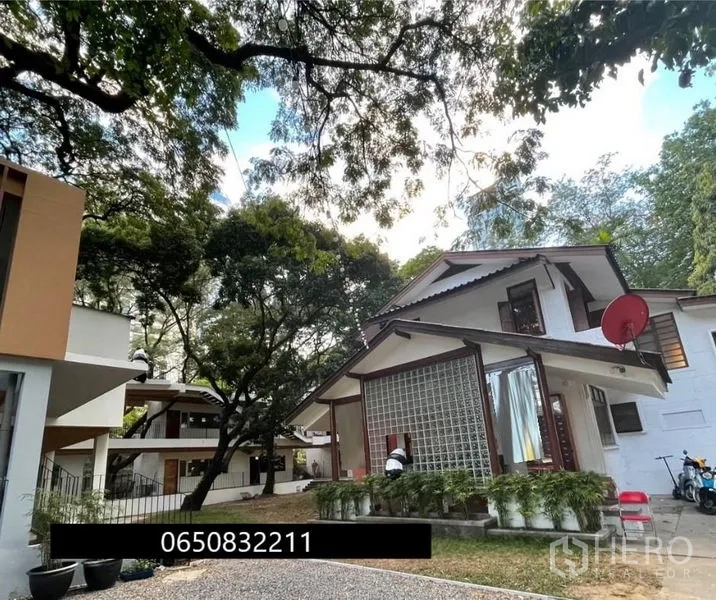 Retail Space for rent in Pathum Wan, Bangkok - Garden compound of low-rise retail houses shaded by mature trees.