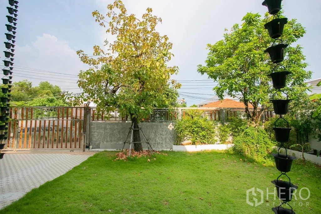 独栋房屋 for rent or sale in Huai Khwang, Bangkok - 阳光花园草坪，成树与金属围栏和推拉门，两侧雨链装饰。