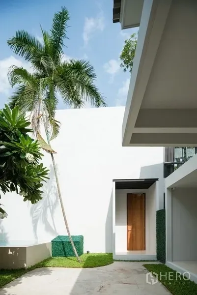 办公空间 出租在Watthana, Bangkok - 极简白色庭院，棕榈树、木门与草坪。