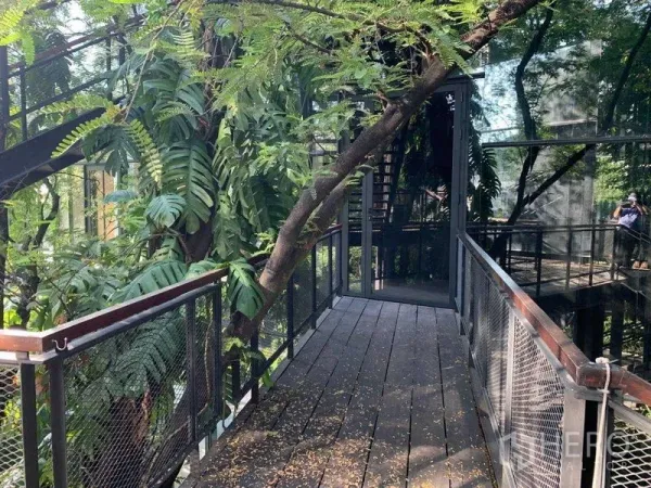 สำนักงาน ให้เช่าในKhlong Toei, Bangkok - โถงทางเดินไม้ร่มรื่นพร้อมราวตาข่ายข้างพืชเขตร้อนและผนังกระจกสะท้อนเงา
