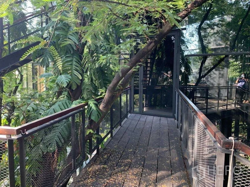 สำนักงาน ให้เช่าในKhlong Toei, Bangkok - โถงทางเดินไม้ร่มรื่นพร้อมราวตาข่ายข้างพืชเขตร้อนและผนังกระจกสะท้อนเงา