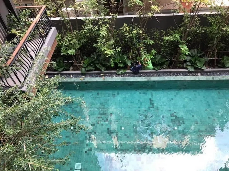 公寓 出租在Pathum Wan, Bangkok - 室外游泳池，青绿马赛克池面，周围环绕绿植庭院。