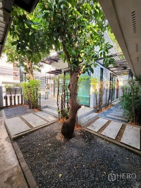 Home Office for rent in Lat Phrao, Bangkok - Landscaped courtyard entry with a mature tree, gravel walkways and steps leading to a glass-fronted room.