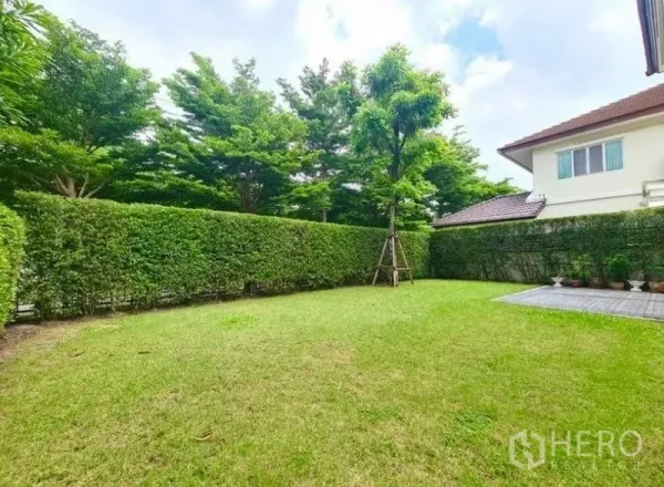 Detached House for rent or sale in Lat Krabang, Bangkok - Spacious green lawn backyard bordered by tall privacy hedges and mature trees.