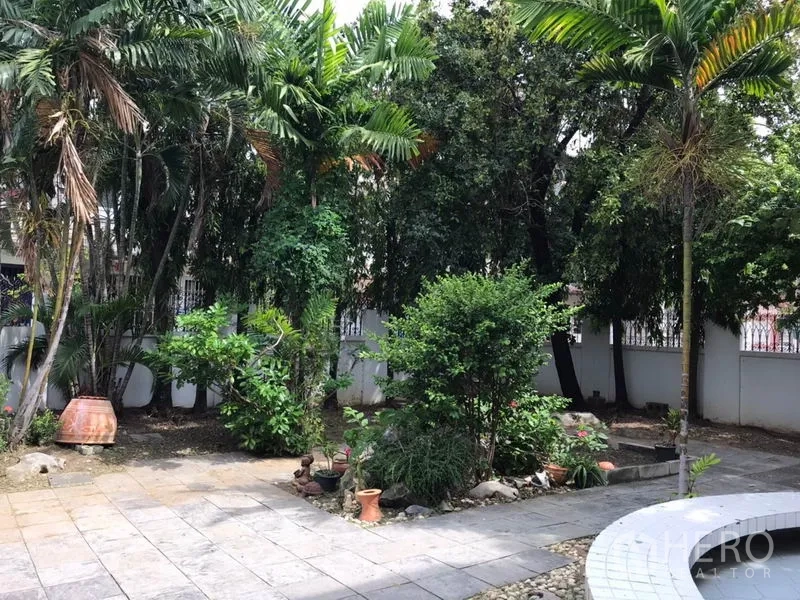 บ้าน ให้เช่าในPhra Khanong, Bangkok - สวนกว้างมีต้นปาล์ม พุ่มไม้ และลานปูหิน