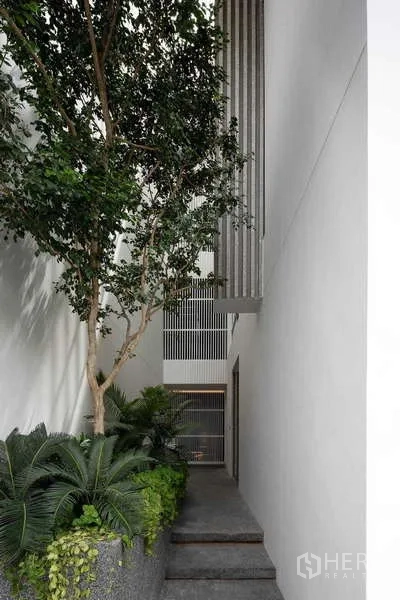 带办公室的家 出租在Bang Phli, Samut Prakan - 侧院景观，成树与蕨类结合混凝土花池的小径。