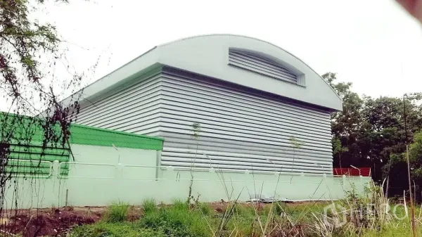 Factory for sale in Pathum Thani - Rear view of corrugated metal warehouse with curved roof and boundary wall amid greenery.