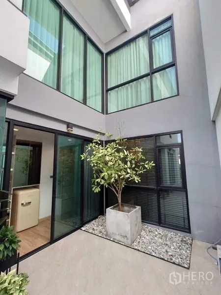 联排别墅 出售在Lat Phrao, Bangkok - 私家庭院，中置绿植与通向室内的玻璃门。