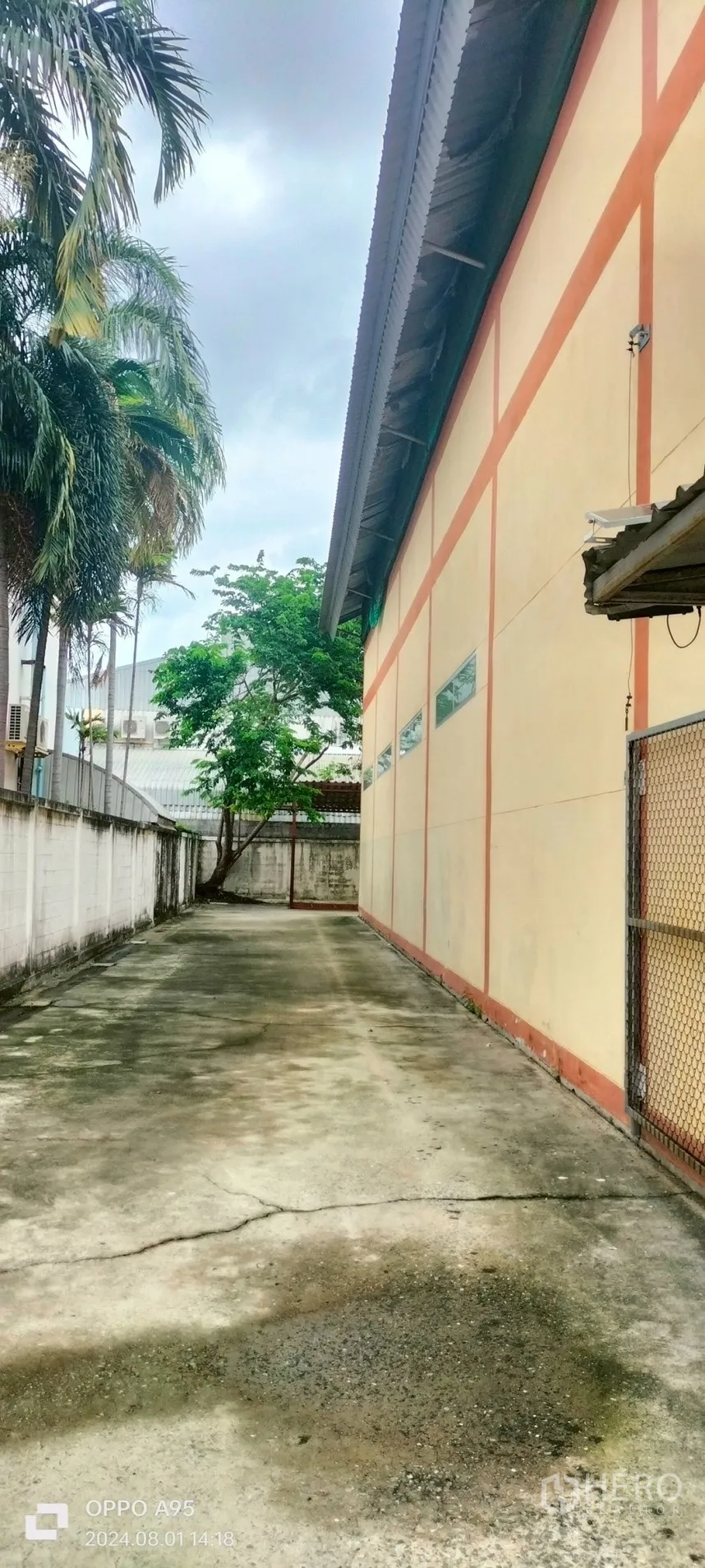 Factory for rent in Khlong Luang, Pathum Thani - Side lane beside the factory with security wall and palm trees.