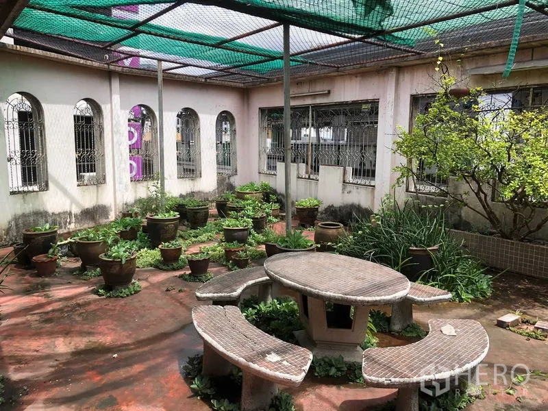 Shophouse for rent in Khlong Toei, Bangkok - Rooftop courtyard garden with potted plants and a concrete picnic table.