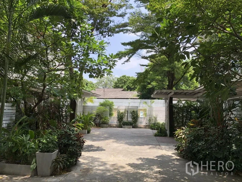 独立式住宅 出租在Watthana, Bangkok - 绿意盎然的车道与庭院，植物繁茂、阴凉宜人。