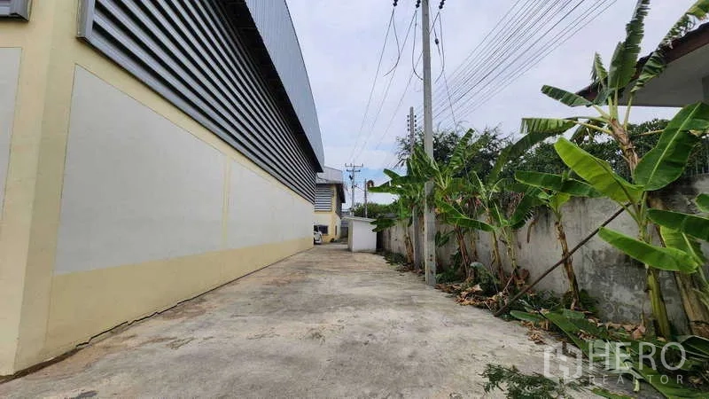 โรงงาน ให้เช่าในBan Phaeo, Samut Sakhon - ทางสัญจรคอนกรีตข้างอาคาร ผนังระแนงเมทัลชีท มีเสาไฟและต้นไม้ เหมาะสำหรับรถบรรทุก