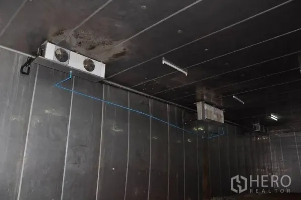 Warehouse for rent in Pathum Thani - Ceiling-mounted evaporator units and wiring inside an insulated temperature-controlled room.