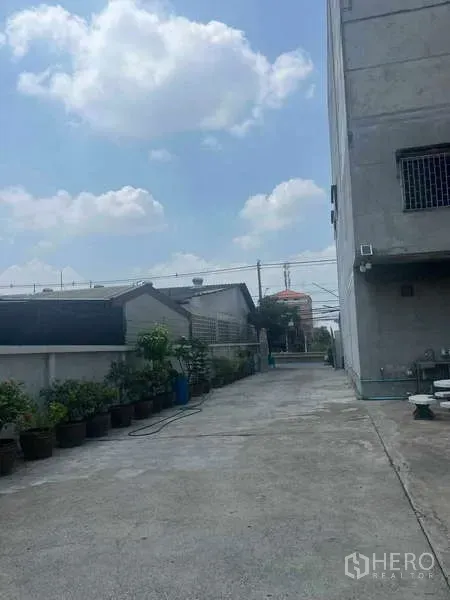 货栈 出租在Lam Luk Ka, Pathum Thani - 建筑侧边通道，沿墙摆放花盆与绿植，蓝天白云