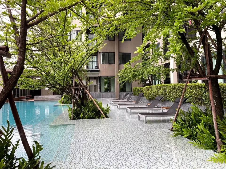 คอนโด ให้เช่าในWatthana, Bangkok - พื้นที่พักผ่อนริมสระ เก้าอี้อาบแดดใต้ร่มไม้
