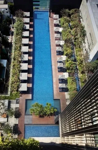 Condominium for rent in Sathon, Bangkok - Aerial view of long lap pool with sun loungers and landscaped greenery