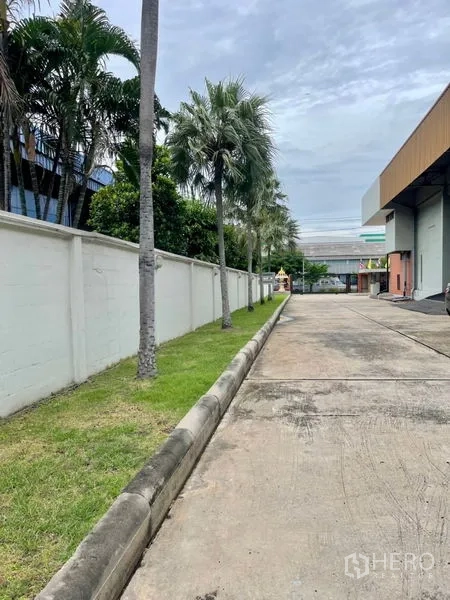 Factory for rent in Mueang Samut Prakan, Samut Prakan - Side driveway with palm trees and boundary wall for privacy