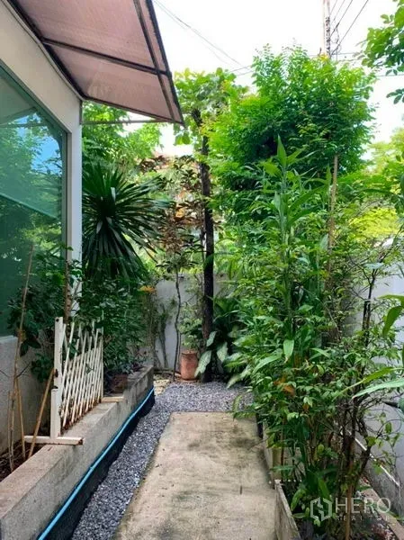 Detached House for sale in Suan Luang, Bangkok - Narrow side garden path with lush plants, gravel and an exterior glass wall of the house.