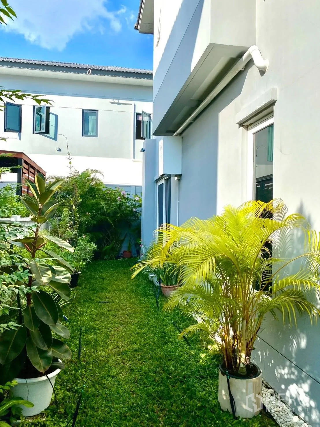 Semi-detached House for rent in Bang Phli, Samut Prakan - Green walkway garden beside the house with tropical plants.