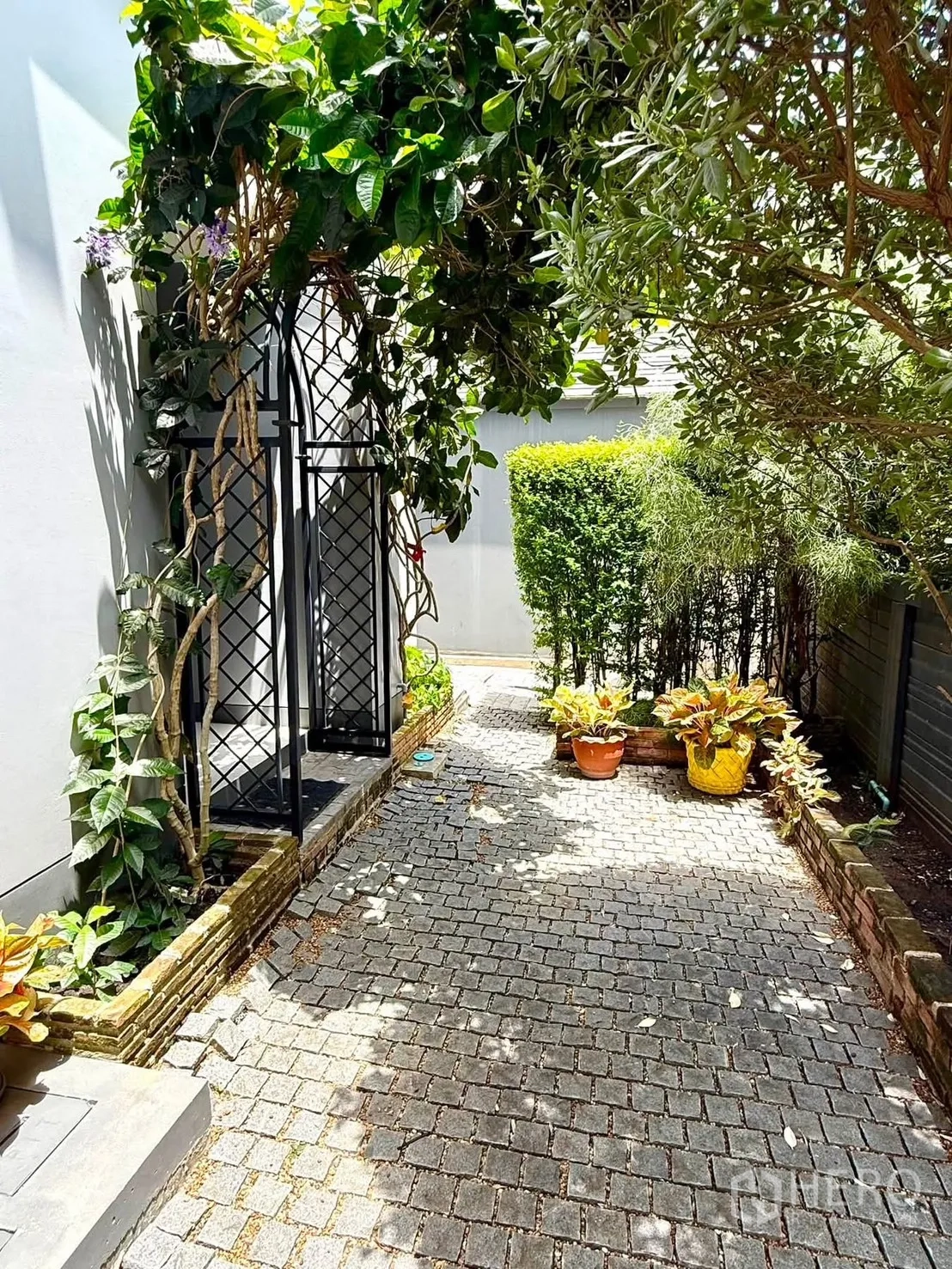 Detached House for rent in Bang Kapi, Bangkok - Shaded garden walkway with climbing vines over a black metal gate.