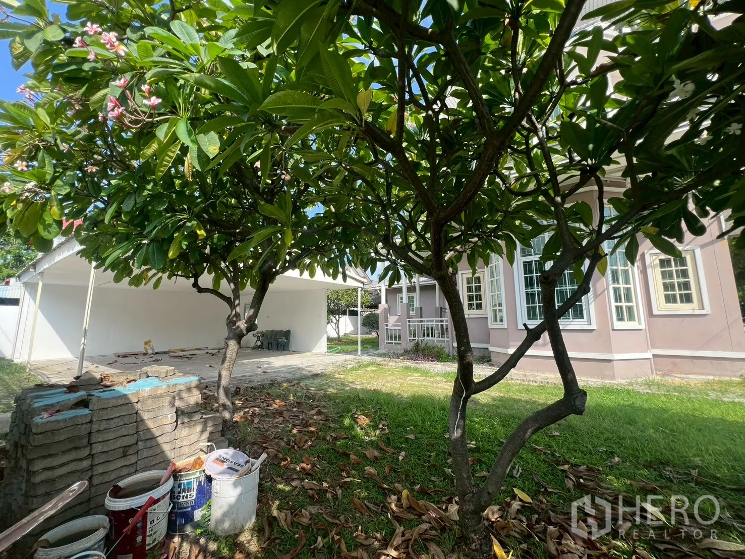 独立式住宅 出售在Phra Khanong, Bangkok - 后院草地和缅栀子树，可见开放式车棚。