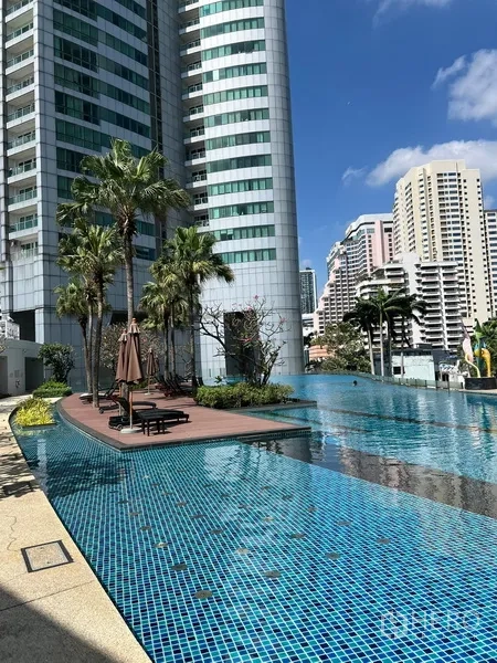 Condominium for rent in Khlong Toei, Bangkok - Condominium outdoor swimming pool with palm trees beside high-rise towers.
