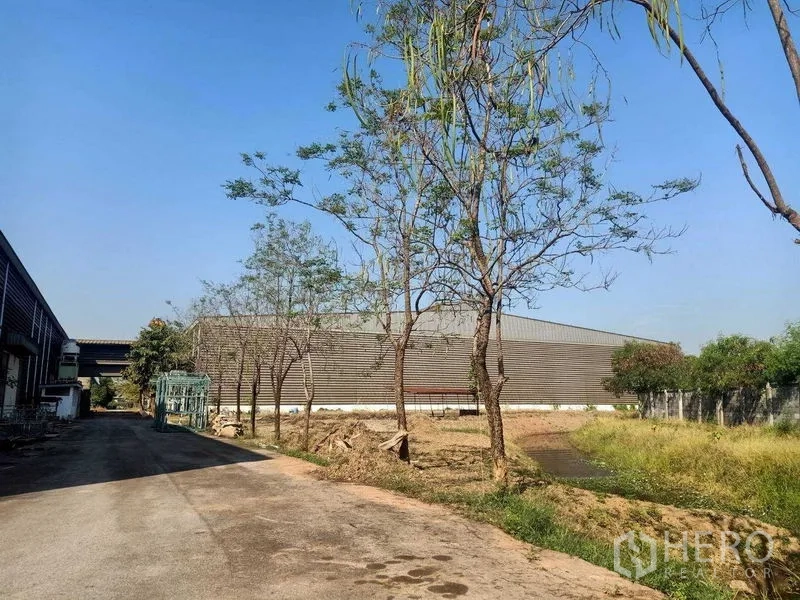 Warehouse for rent in Mueang Samut Sakhon, Samut Sakhon - Access road with young trees and grassy drainage beside a long warehouse block.