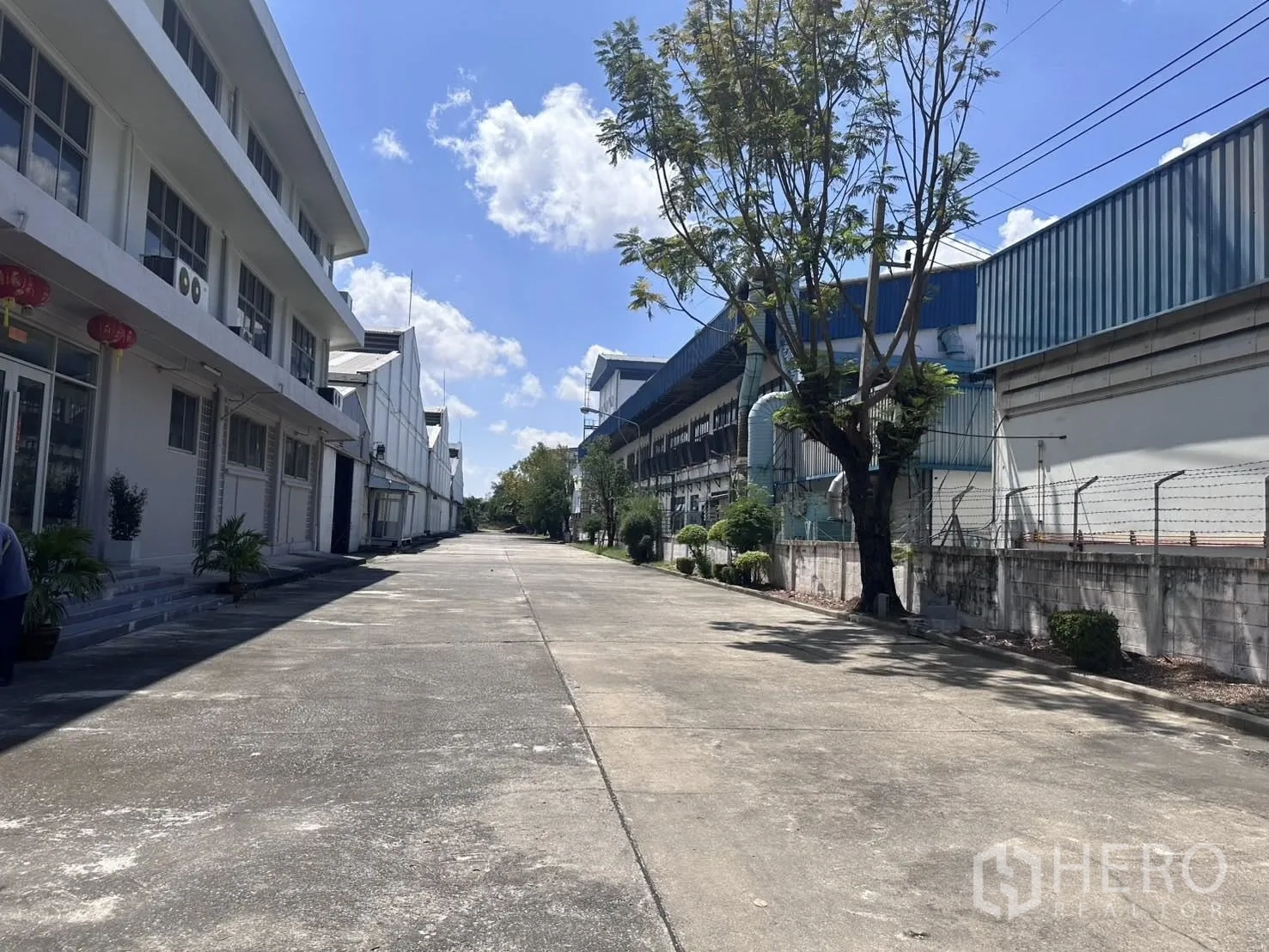 Warehouse for rent in Mueang Samut Prakan, Samut Prakan - Internal access road between the office building and neighboring factory with trees along the side.