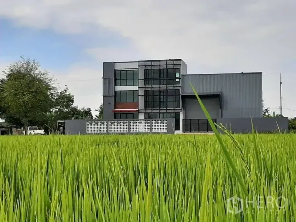 Factory for rent or sale in Lam Luk Ka, Pathum Thani - Modern gray factory with glass-fronted offices set beside lush green fields.