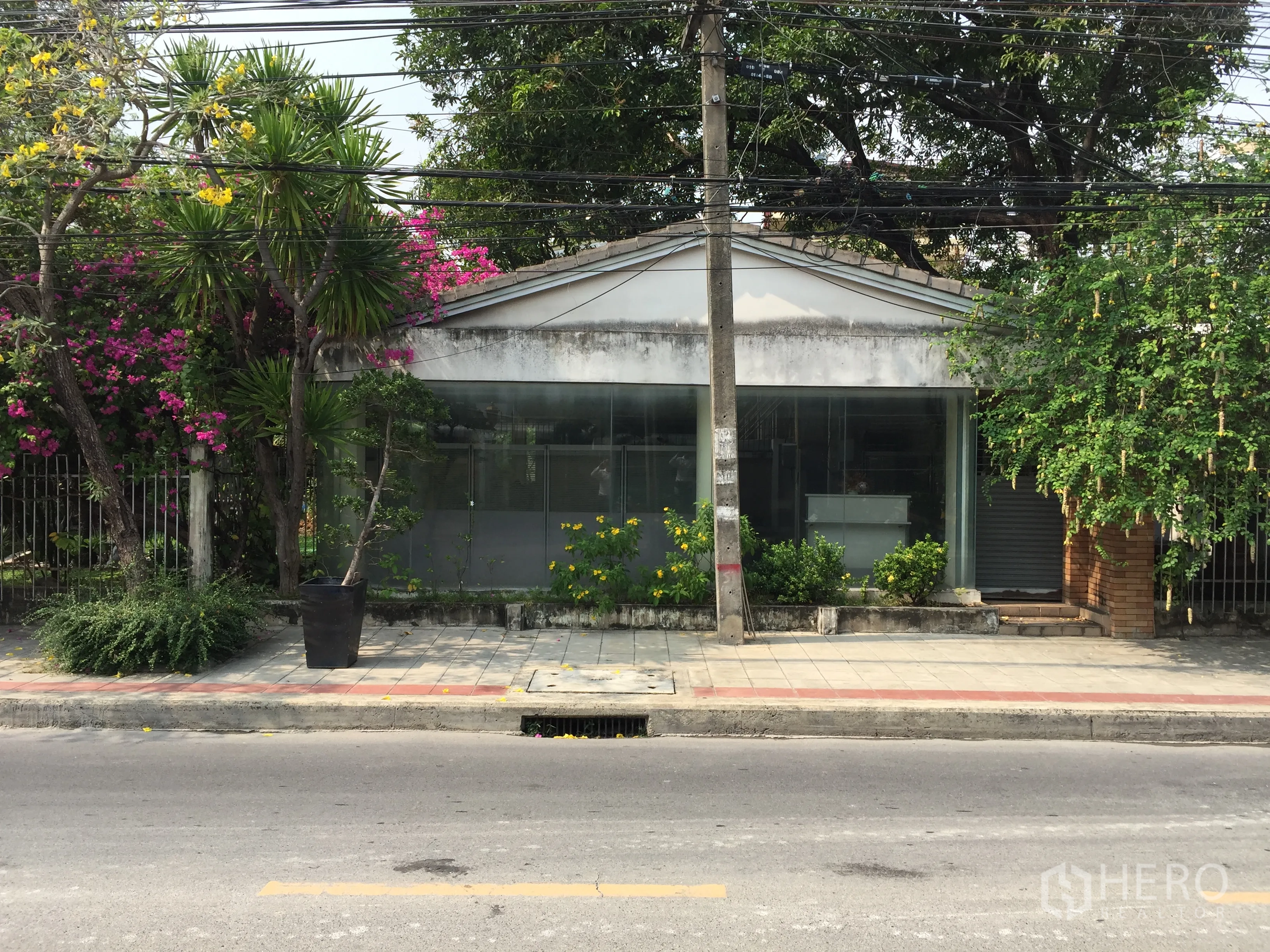 办公空间 出租在Watthana, Bangkok - 临街单层商业建筑，整面玻璃立面与人行道绿树，位于曼谷通罗。
