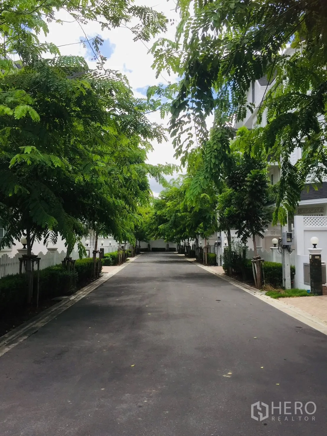 บ้านเดี่ยว for rent in Bang Na, Bangkok - ถนนภายในโครงการร่มรื่นด้วยต้นไม้สองข้างทาง