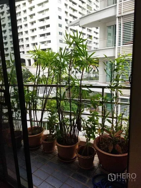 公寓 出租在Pathum Wan, Bangkok - 小阳台沿滑门摆放竹类盆栽，眺望邻近楼宇。