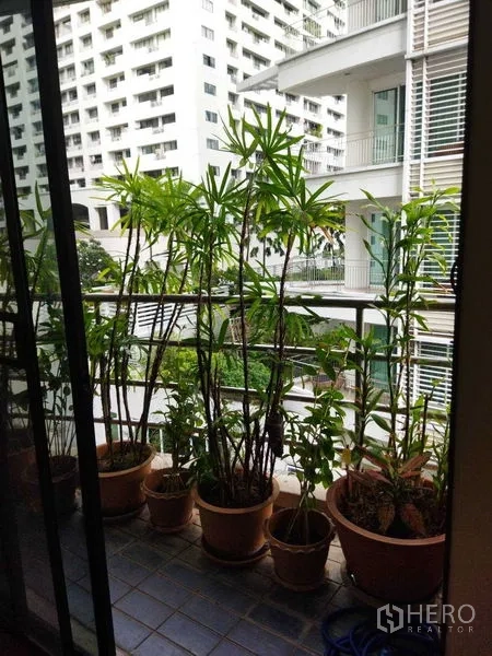 公寓 出租在Pathum Wan, Bangkok - 小阳台沿滑门摆放竹类盆栽，眺望邻近楼宇。