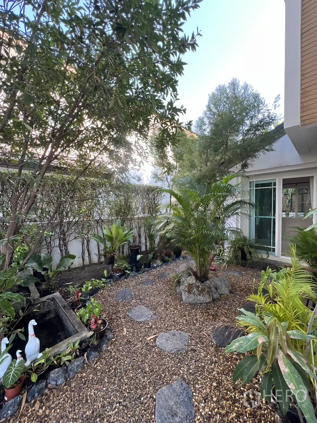 Detached House for rent in Bang Kapi, Bangkok - Stone path through a landscaped garden beside the house with lush greenery.
