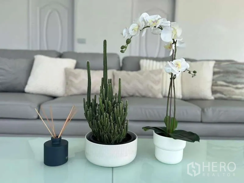 Detached House for rent in Lat Krabang, Bangkok - Minimalist coffee table with potted cactus and orchid in front of a gray sofa.