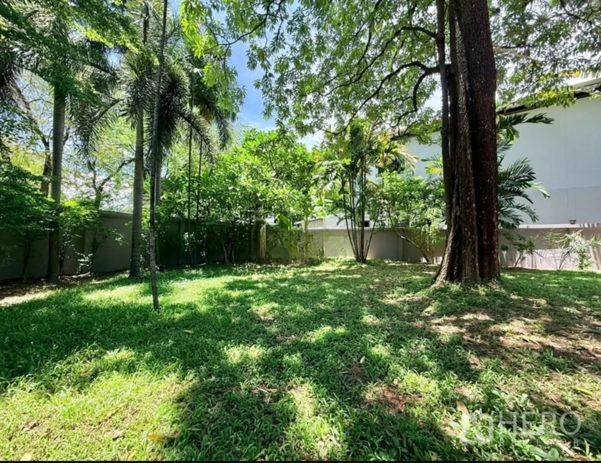 Detached House for rent in Phra Khanong, Bangkok - Large lawn with tall trees and a surrounding boundary wall.