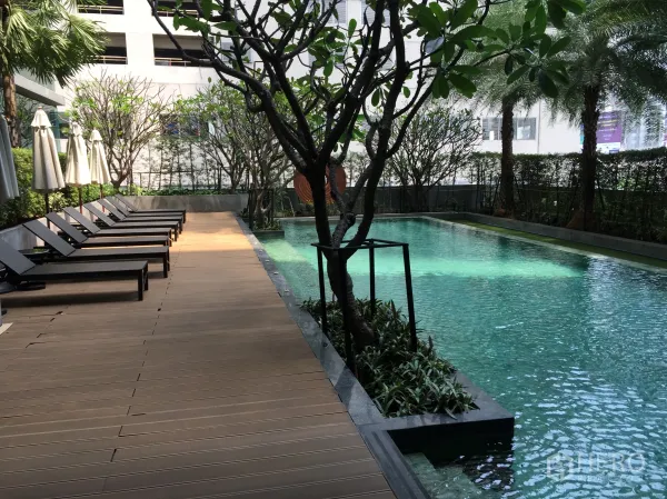 公寓 出租在Watthana, Bangkok - 公寓游泳池，木质日光甲板与躺椅，环绕热带绿植。