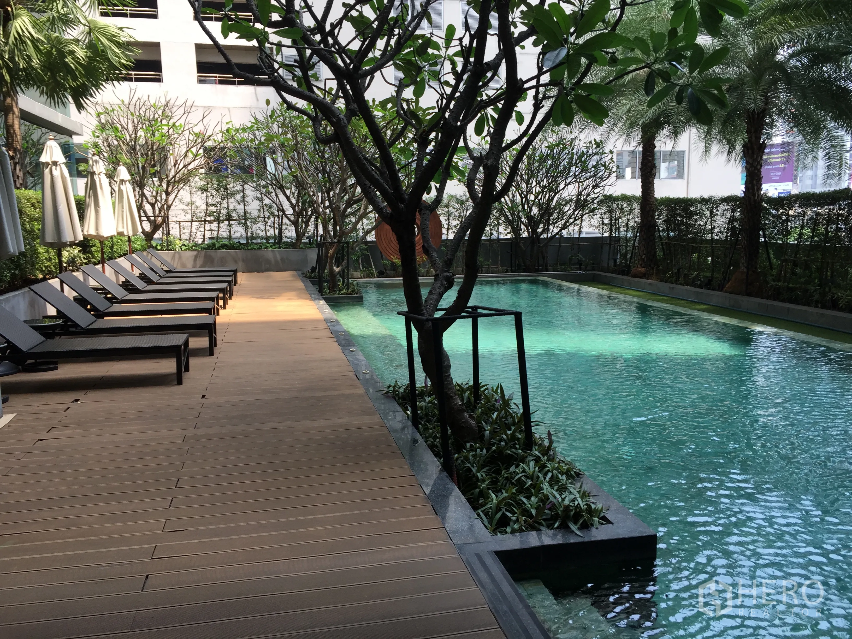 公寓 出租在Watthana, Bangkok - 公寓游泳池，木质日光甲板与躺椅，环绕热带绿植。