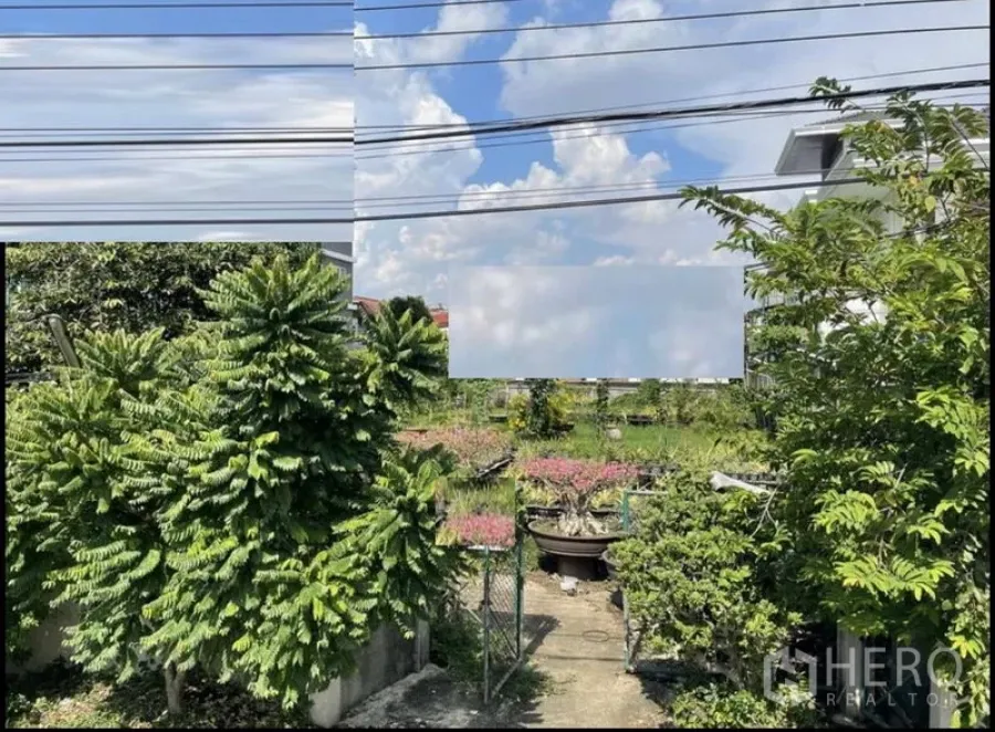 Land for sale in Suan Luang, Bangkok - Green land plot with mature trees, a small gate and overhead lines under a blue sky.