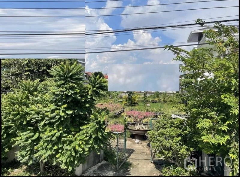 Land for sale in Suan Luang, Bangkok - Green land plot with mature trees, a small gate and overhead lines under a blue sky.