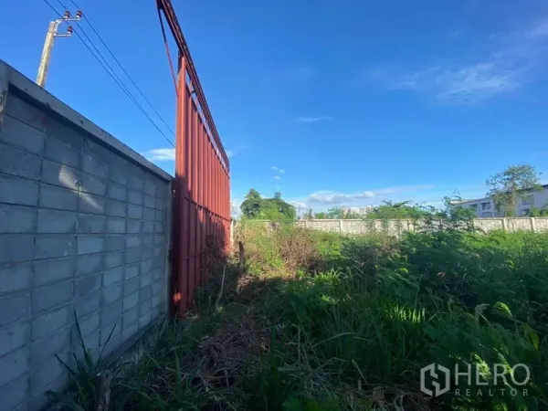Warehouse for rent in Suan Luang, Bangkok - Grassy side plot just inside the metal gate, bordered by a concrete wall for expansion or outdoor storage.