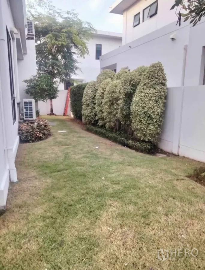 Detached House for rent in Samut Prakan - Private side garden with lawn and manicured hedges along the boundary wall.