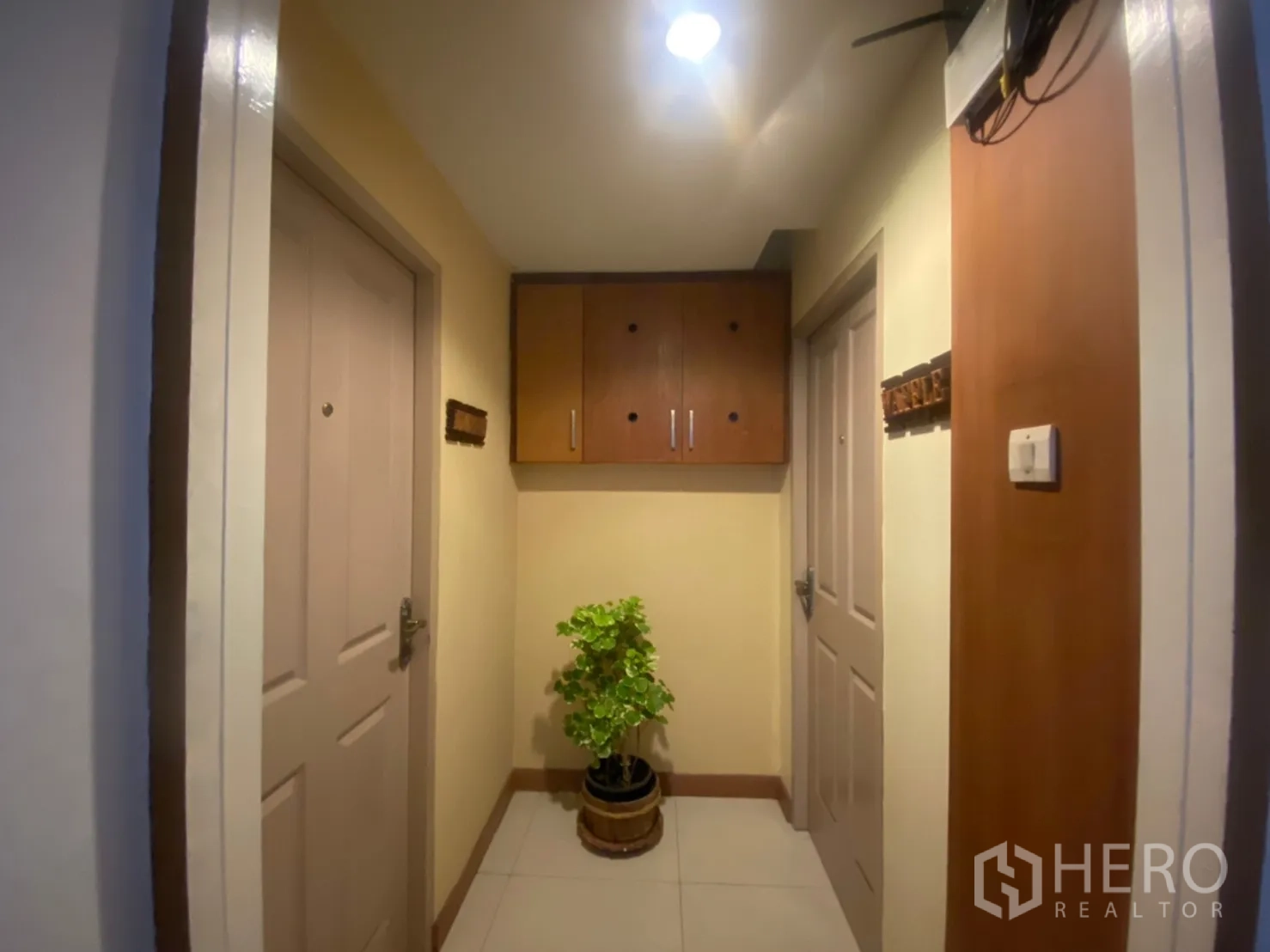 Condominium for rent in Phaya Thai, Bangkok - Interior hallway with storage cabinet, two doors, and a potted plant.